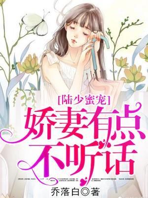 陸少蜜寵：嬌妻有點不聽話