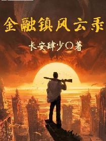 金融鎮風雲錄