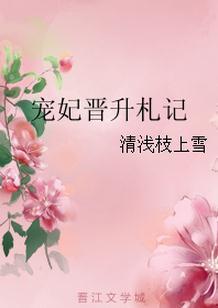 寵妃晉升劄記