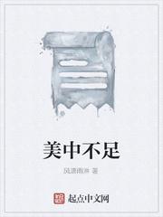 美中不足