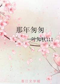 那年匆匆