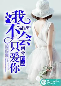 我不會只愛你
