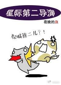 星際第二導演