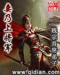 妻乃上将軍