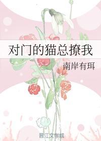 對門的貓總撩我