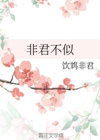 非君不似