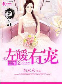重生之左暖右愛