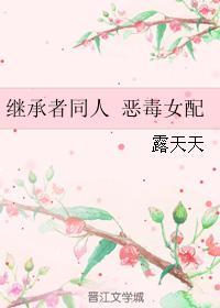 繼承者同人 惡毒女配