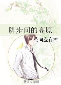 腳步間的高原