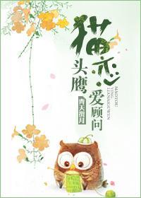 貓頭鷹戀愛顧問