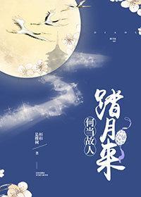 何當故人踏月來