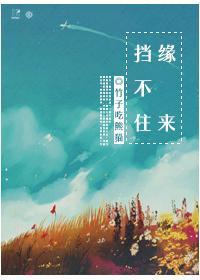 緣來擋不住