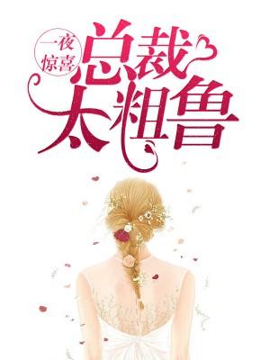 一夜驚喜：總裁太粗魯