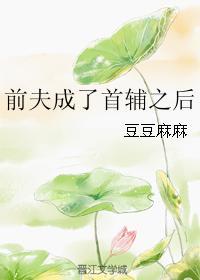 前夫成了首輔之後