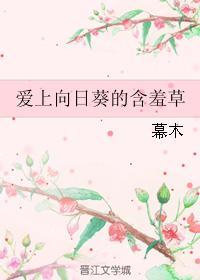 愛上向日葵的含羞草