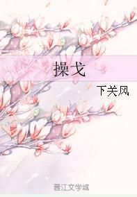 操戈
