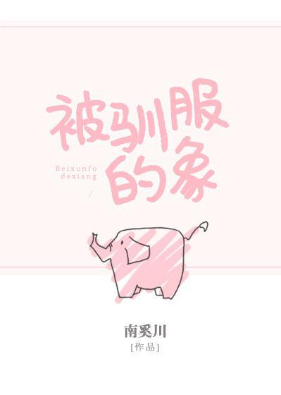 被馴服的象