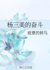 楊三美的奮鬥