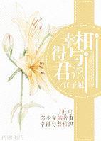 幸得與君相識（網翻）
