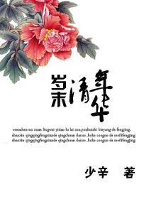 歲末清年華