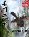 墨門飛甲
