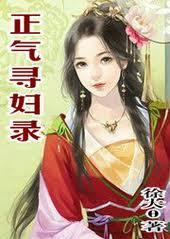 正氣尋婦錄