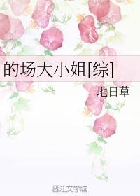 的場大小姐[綜]