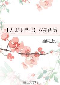 [大宋少年志]雙身兩願