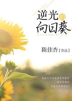 逆光的向日葵