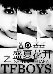 TFboys之盛夏花開