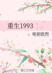 重生1993