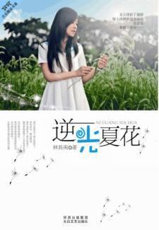 逆光夏花