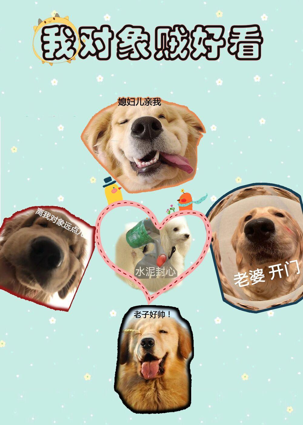 我對象賊好看