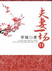 夫妻一場2
