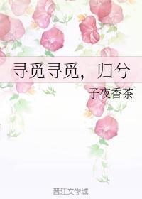 尋覓尋覓，歸兮