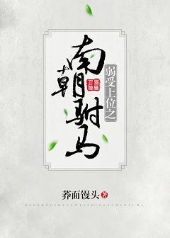 南朝驸馬gl