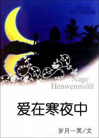 冬季戀歌之愛在寒夜中