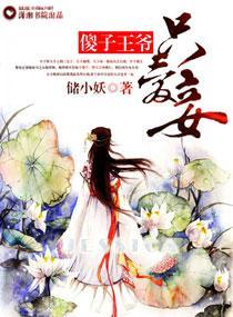 傻子王爺只愛妾