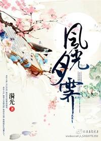 風光月霁