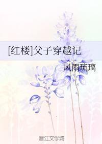 [紅樓]父子穿越記