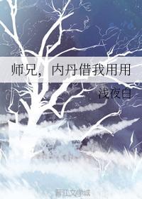 師兄，內丹借我用用
