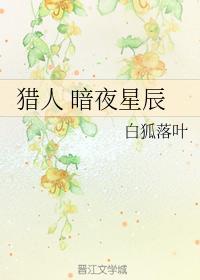 獵人 暗夜星辰