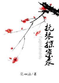 撫琴探案錄