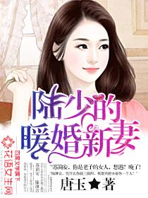 蘇簡安陸薄言