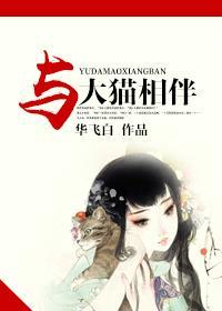 與大貓相伴