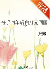 分手四年後白月光回國了