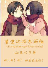 重生之擇木而栖
