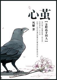 [全職高手同人]心繭