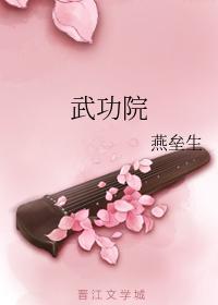 武功院系列